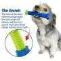 DesirePath Puppy Brush Dog Toothbrush Chew Toy Stick for Tooth Cleaning,Puppy Dental Care Brushing Toy - Natural Rubber Bite Resistant Dog Toothbrush Toy DesirePath Puppy Brush Dog Toothbrush Chew Toy Stick for Tooth Cleaning,Puppy Dental Care Brushing Toy - Natural Rubber Bite Resistant Dog Toothbrush Toy