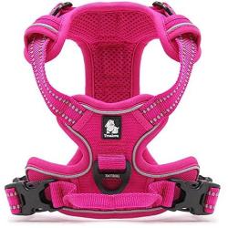 Creation Core Reflective Nylon Dog Harness and Training Leash Set Padded Durable Adjustable