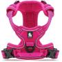Creation Core Reflective Nylon Dog Harness and Training Leash Set Padded Durable Adjustable