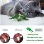 N / A Cat Catnip Toys, Interactive Cat Toothbrush Chew Toy for Kitten Kitty Cats Teeth Cleaning Dental Care, Crayfish Shape Pet Toy Cat N / A Cat Catnip Toys, Interactive Cat Toothbrush Chew Toy for Kitten Kitty Cats Teeth Cleaning Dental Care, Crayfish Shape Pet Toy Cat