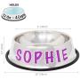 GPET Dog Bowl 32 Oz Stainless Steel Bowls with Anti-Skid Rubber Base for Food or Water Perfect Dish for Dog Puppy Cat and Kitten