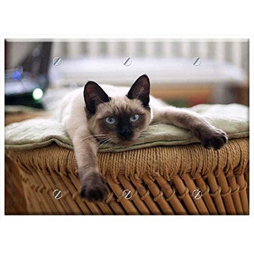 Triple Blank Wall Plate Cover - Cat Thai Cat Cats Pet Animals Cute Cat Eye