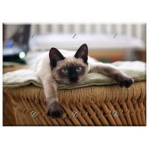 Triple Blank Wall Plate Cover - Cat Thai Cat Cats Pet Animals Cute Cat Eye Triple Blank Wall Plate Cover - Cat Thai Cat Cats Pet Animals Cute Cat Eye