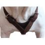 Genuine Leather Dog Harness Medium to Large 25''-32'' Chest, 1'' Wide Adjustable Straps