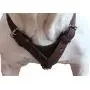 Genuine Leather Dog Harness Medium to Large 25''-32'' Chest, 1'' Wide Adjustable Straps Genuine Leather Dog Harness Medium to Large 25''-32'' Chest, 1'' Wide Adjustable Straps