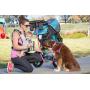PetFusion Portable Dog Water Bottle (New; Large Dispenser, 22 oz). Insulated 2 Wall Stainless Steel for Optimal Cool Water Temp, Leak Proof, eco Friendly