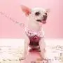 Didog Adjustable Pet Mesh Vest Harness and Leash Set with Cute Bell for Puppy Small Medium Dogs and Cats