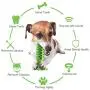 Ceetpupe Squeaky Chew Toothbrush Dog Toy Sticks for Puppy Small Medium Large Dogs Teeth Cleaning Ceetpupe Squeaky Chew Toothbrush Dog Toy Sticks for Puppy Small Medium Large Dogs Teeth Cleaning