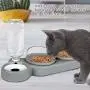 zxcvbn Three Dogs Cat Bowl Set,15°Tilt and 360°Rotatable Double Food Bowl,Double Bowl of Wet and Dry Food with Automatic Water Bottle Bowl,Small and Medium Dogs and Cats use zxcvbn Three Dogs Cat Bowl Set,15°Tilt and 360°Rotatable Double Food Bowl,Double Bowl of Wet and Dry Food with Automatic Water Bottle Bowl,Small and Medium Dogs and Cats use