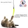 Pet Fit For Life 5 Piece Worms Teaser and Exerciser for Cat and Kitten - Cat Toy Interactive Cat Wand