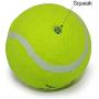 EXPAWLORER Dog Squeaky Tennis Balls for Dogs Set of 12 for Pet Playing and Training 2.5''