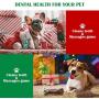 Christmas Stocking Gifts for Dog, Unique for Pets Puppy Chewing Toys Including Red Ball, Candy Cane, Bear Toy and Cotton Knotted Rope