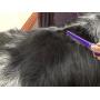 Hertzko Long and Short Teeth Comb Grooms Your Pet’s Top Coat and Undercoat at Once - Suitable for Dogs and Cats