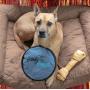 Handy Hound Flying Dog Frisbee | Soft Safe Tough | Floats in Water and Safe on Teeth