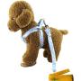 Wiz BBQT Adjustable Breakaway Flower Printed Dog Cat Pet Harness and Leash Set for Dogs Cats Pets