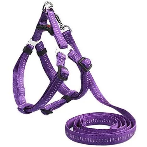 HUIYOU Puppy Harness Leash Set, Heavy Duty Training Dog Vest Perfect for Large Medium Small Dogs (S, Purple)