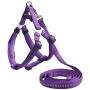 HUIYOU Puppy Harness Leash Set, Heavy Duty Training Dog Vest Perfect for Large Medium Small Dogs