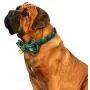 KUDES 2 Pack/Set Christmas Snowflake Dog Collars, Adjutable Dog Collars with Bow Tie and Bells for Small/Medium/Large Pets, Red & Green KUDES 2 Pack/Set Christmas Snowflake Dog Collars, Adjutable Dog Collars with Bow Tie and Bells for Small/Medium/Large Pets, Red & Green