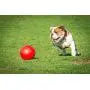 Boomer Ball Boomer Ball