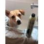 Pawfume Premium Shampoo and Conditioner - 12oz (Show Dog)