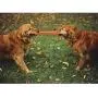 PEKUO Dog Toy for Aggressive Chewers, Durable Dog Toy for Changing Teeth for Energetic Dogs Medium Large Dogs