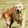 oneisall Dog Toys for Aggressive Chewers,Indestructible Pet Chew Toys Bone for Puppy Dogs oneisall Dog Toys for Aggressive Chewers,Indestructible Pet Chew Toys Bone for Puppy Dogs
