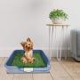 [DogCharge] Indoor Dog Potty Tray (Blue) with 2 Artificial Turf – with Protection Wall Every Side for No Leak, Spill, Accident - Keep Paws Dry and Floors Clean