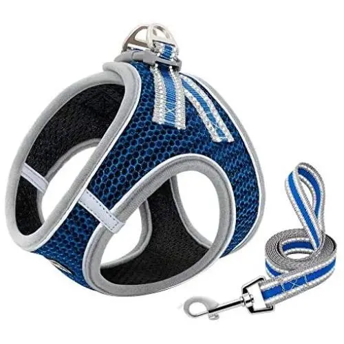 PET ARTIST Reflective Dog Vest Harness 5ft Dog Leash - Step-in Air Mesh Pet Harness - Soft Padded Breathable Dog Harnesses for Small Medium Dog cat Walking PET ARTIST Reflective Dog Vest Harness 5ft Dog Leash - Step-in Air Mesh Pet Harness - Soft Padded Breathable Dog Harnesses for Small Medium Dog cat Walking