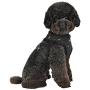 Puppia Gia Harness A, Large, Ivory