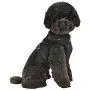 Puppia Gia Harness A, Large, Ivory Puppia Gia Harness A, Large, Ivory