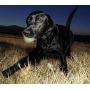 HE MERCHANDISE Glow in The Dark Pet Ball Fetch Balls, Glowing Interactive Pet Chew Toys for Strong Dog & Puppy Balls for Training Aggressive Chewers Puppy, Cats, Dogs