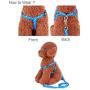 ColorMilky Cat Puppy Dog Harness and Leash Traction Kit