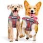 Petfino Step-in Dog Harness with Matching Leash for Extra Small to Medium Dogs All Weather Soft Breathable Mesh for Ultra Comfort Reflective Plaid Red
