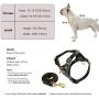 Beirui Genuine Leather Dog Harness and Leash Set for Small Dogs - No Pull Front Puppy Dog Halter Harness - 5ft Training Leads for Chihuahua Poodle Walking