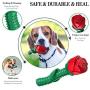 ucho Dog Chew Toys - Puppy Toy Durable Rose Chew Toys for Small & Medium Dog,Enchanted Rose Toy Gift for Mothers Day,Christmas Day and Dogs’ Birthday Day, Valentines Day, Cleaning Teeth Toys