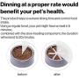 pidan Slow Feeder Dog Bowls Accessories Fitted with Small and Large Pet Food Bowl – Dog & Cat Feeding Pet Supplies (Snowflake) - S