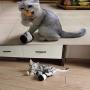 JUILE YUAN Tumbler Smart Nteractive Cat Toys, 180 Degree Self Rotating Ball Car Toy with Catnip, Cat Wand Chaser Indoor Trainning Toys for Teaser Kitten/Cats Toys