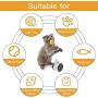 GiWuh Interactive Cat Toys for Indoor, Balance Car Design, Wheel Training Toys with Tumbler Balanced, Pet Toys, Kitten Sports Educational Toys