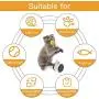 GiWuh Interactive Cat Toys for Indoor, Balance Car Design, Wheel Training Toys with Tumbler Balanced, Pet Toys, Kitten Sports Educational Toys GiWuh Interactive Cat Toys for Indoor, Balance Car Design, Wheel Training Toys with Tumbler Balanced, Pet Toys, Kitten Sports Educational Toys