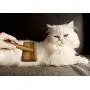 Slicker Dog Cat Grooming Brush - NO.1 for Deshedding Detangling and Dematting Small, Medium and Large Short to Long Hair Pets. Cut Shedding, Massage and Stimulate Healthy Coats.