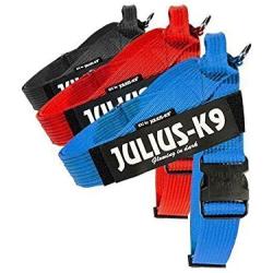 Julius-K9 IDC Innova Dog Comfort Red Belt Harness