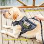 BLEP Tactical Dog Harness with Leash – Military Grade Nylon Dog Harness for Large Dogs – Tactical Vest with Comfortable Extended Pads – Metal Leash Attachment Points – Hook and Loop Panel