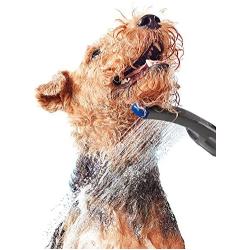 Waterpik PES-142UK Pet Wand Dog Shower Attachment for Indoor-Outdoor Use, Grey