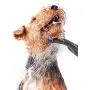 Waterpik PES-142UK Pet Wand Dog Shower Attachment for Indoor-Outdoor Use, Grey Waterpik PES-142UK Pet Wand Dog Shower Attachment for Indoor-Outdoor Use, Grey
