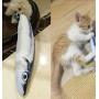 Tomcrazy 3PCS Simulation Fish Cats/Small Puppy Dogs Toys Catnip Pet Sets Doll Interactive Pets Toy Throw PP Cotton Plush Pillow Chew Bite Play Fetch Toy Grass carp Saury Arowana (3-Pack)