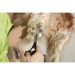 Andis Straight Shears, Professional Dog and Cat Grooming