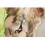 Andis Straight Shears, Professional Dog and Cat Grooming