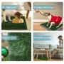HAVETOLOVE Artificial Grass Potty pad for Dogs, Fake Grass for Dogs to Pee on Indoor or Outdoor, Portable Dog Pee Grass for Full System with Tray and 2 Packs Replacement Grass Mats（21x26）