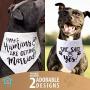JT Pet My Humans are Getting Married & She Said Yes Dog Wedding Bandana Dog of Honor Dog Wedding Attire Puppy, Dog Handkerchiefs - Wedding Dog Bandana - Dog Engagement Announcement - Save The Date