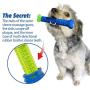 BulbHead Chewbrush Toothbrush Dog Toothbrush and Dog Toy - No Dog Toothpaste Required - Great Dog Teeth Cleaning Toys